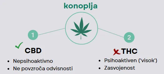 Kaj je CBD